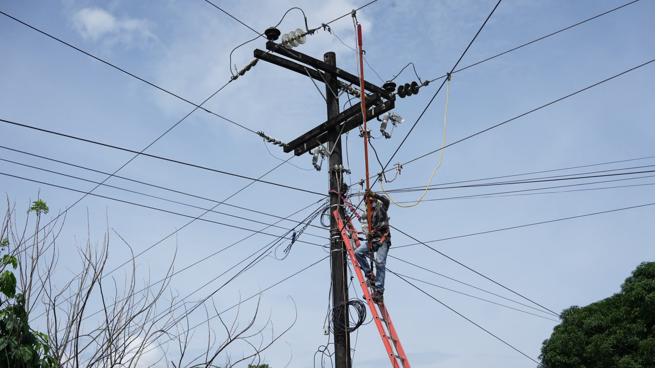 WhatsApp Image 2026-09-25 at 09.44.14.jpeg