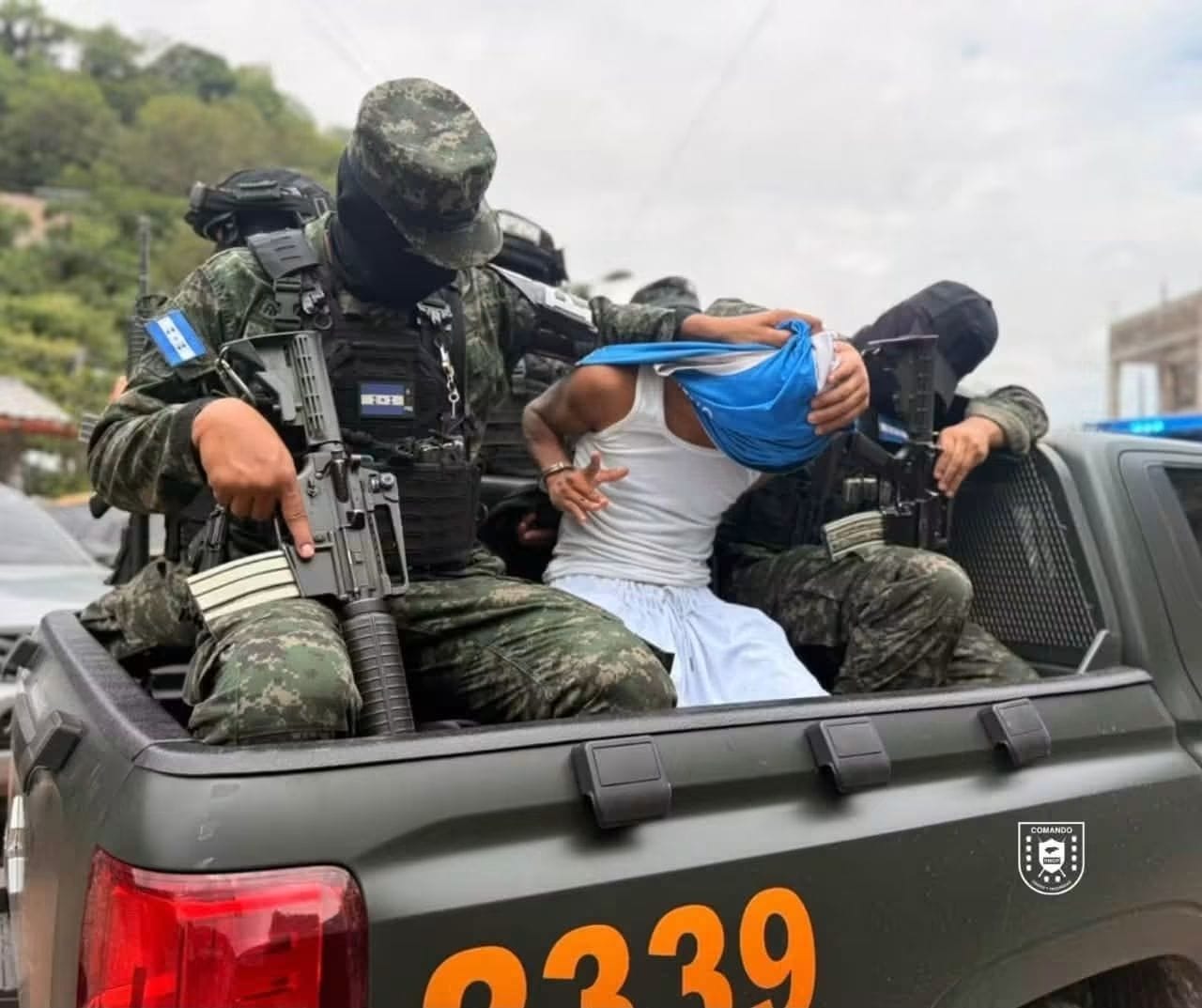Imagen 5
