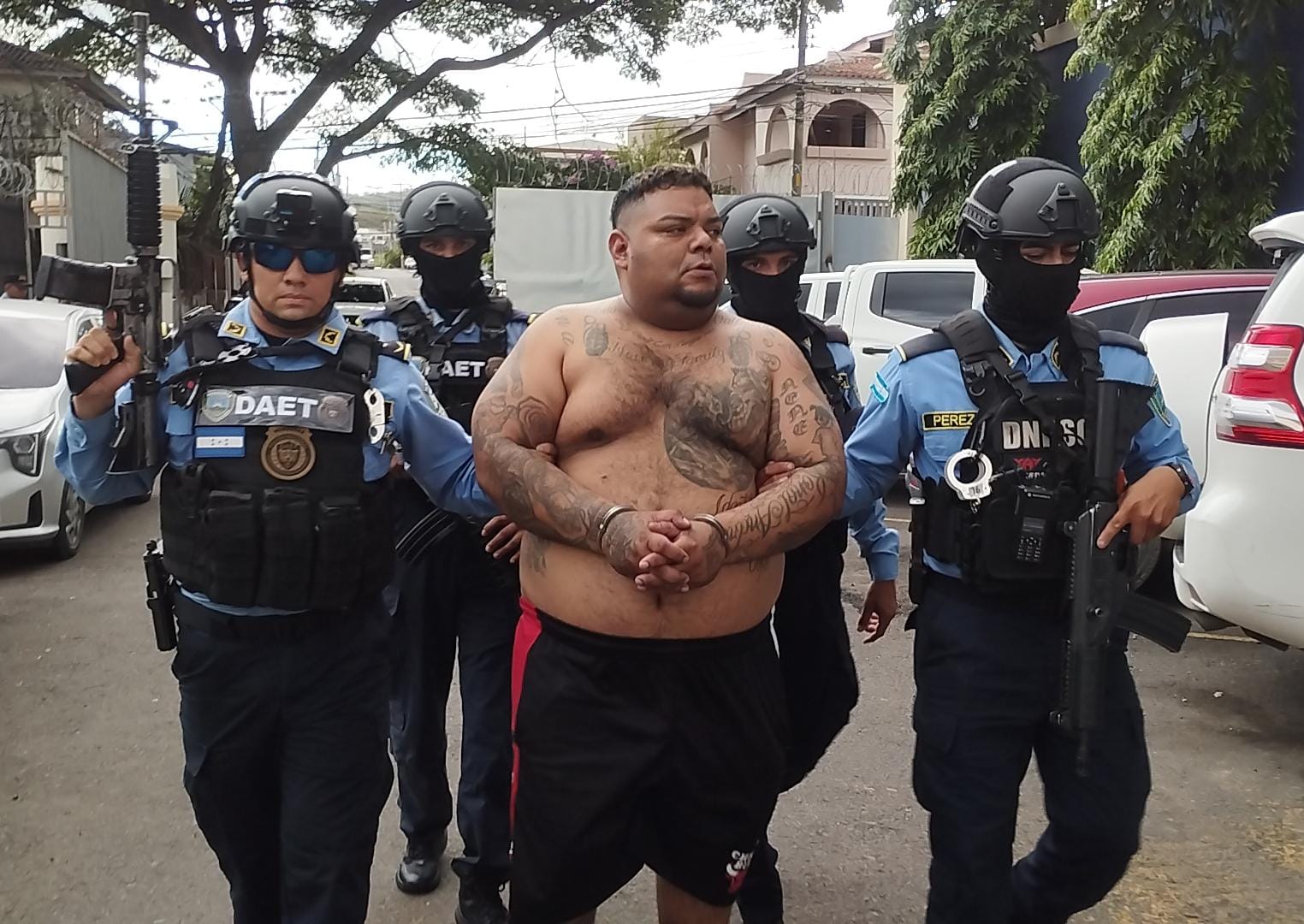 DAET realiza captura