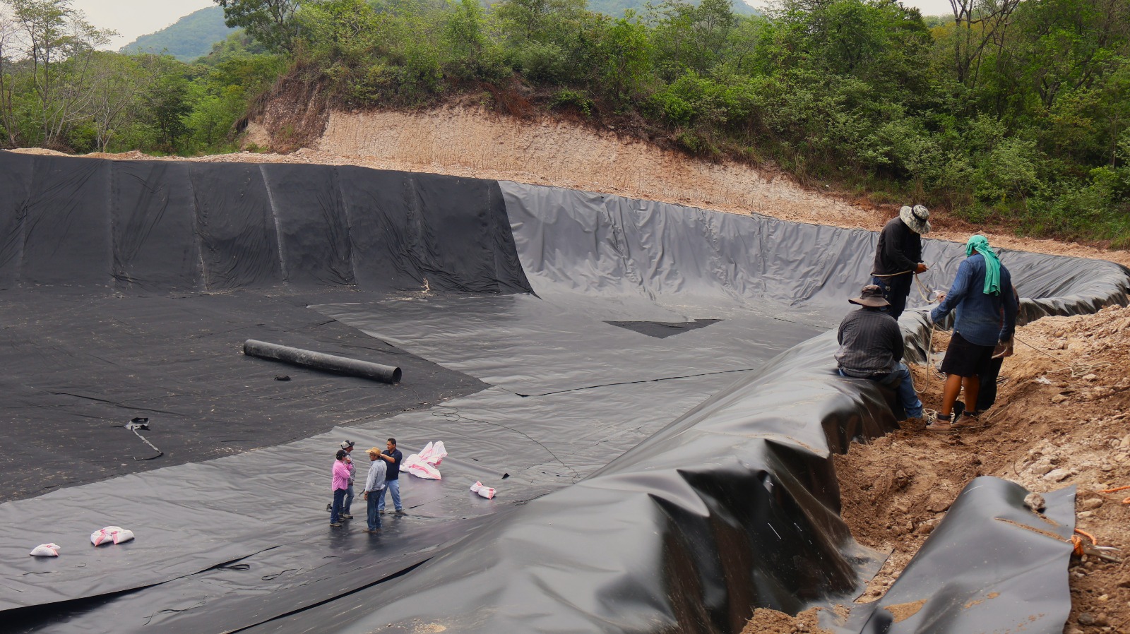 Cosechadoras de agua