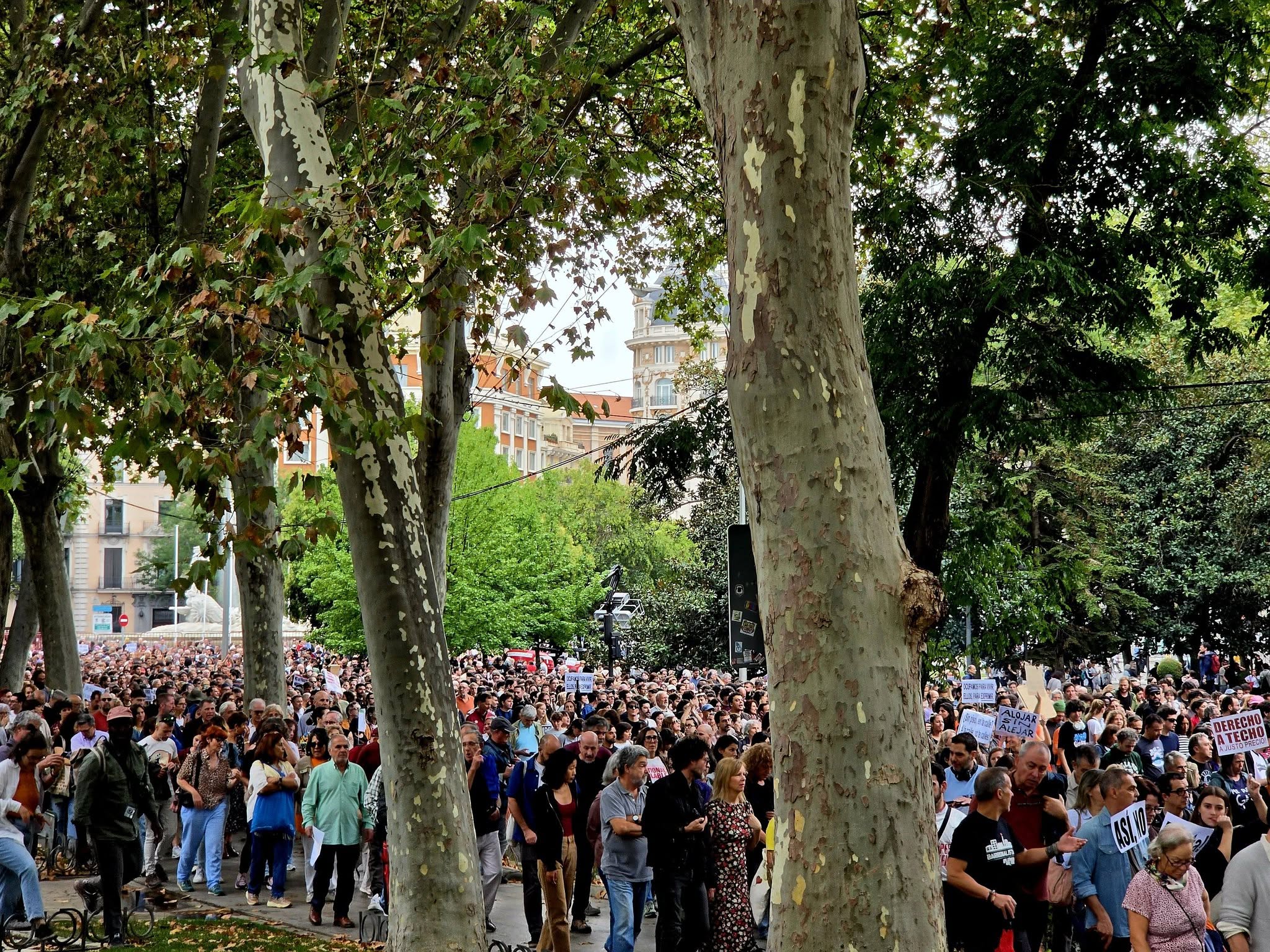 El desahucio en Madrid de Maricarmen Abascal, de 87 años, desató protestas masivas y reabrió el debate político y social sobre la crisis de la vivienda en Españ