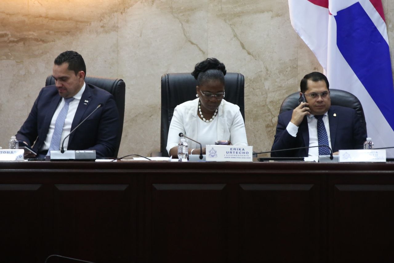 Vicepresidenta del Congreso Nacional, Johana Bermúdez.
