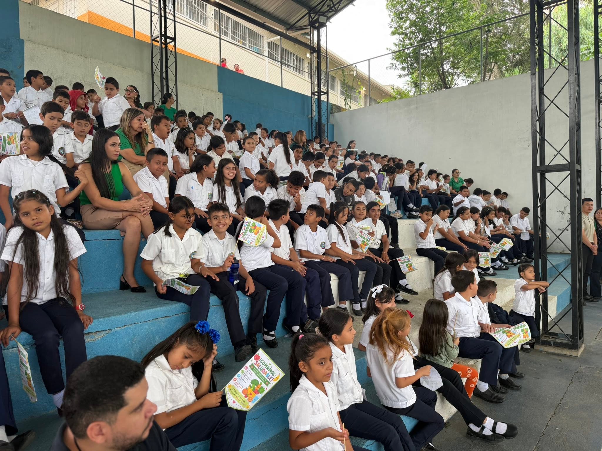 Programa Mundial de Alimentos