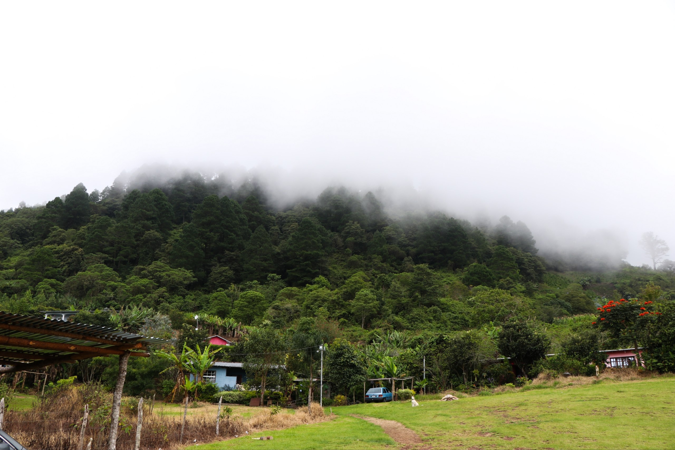 Finca La Cantadora cuenta con un ambiente y clima cálido.