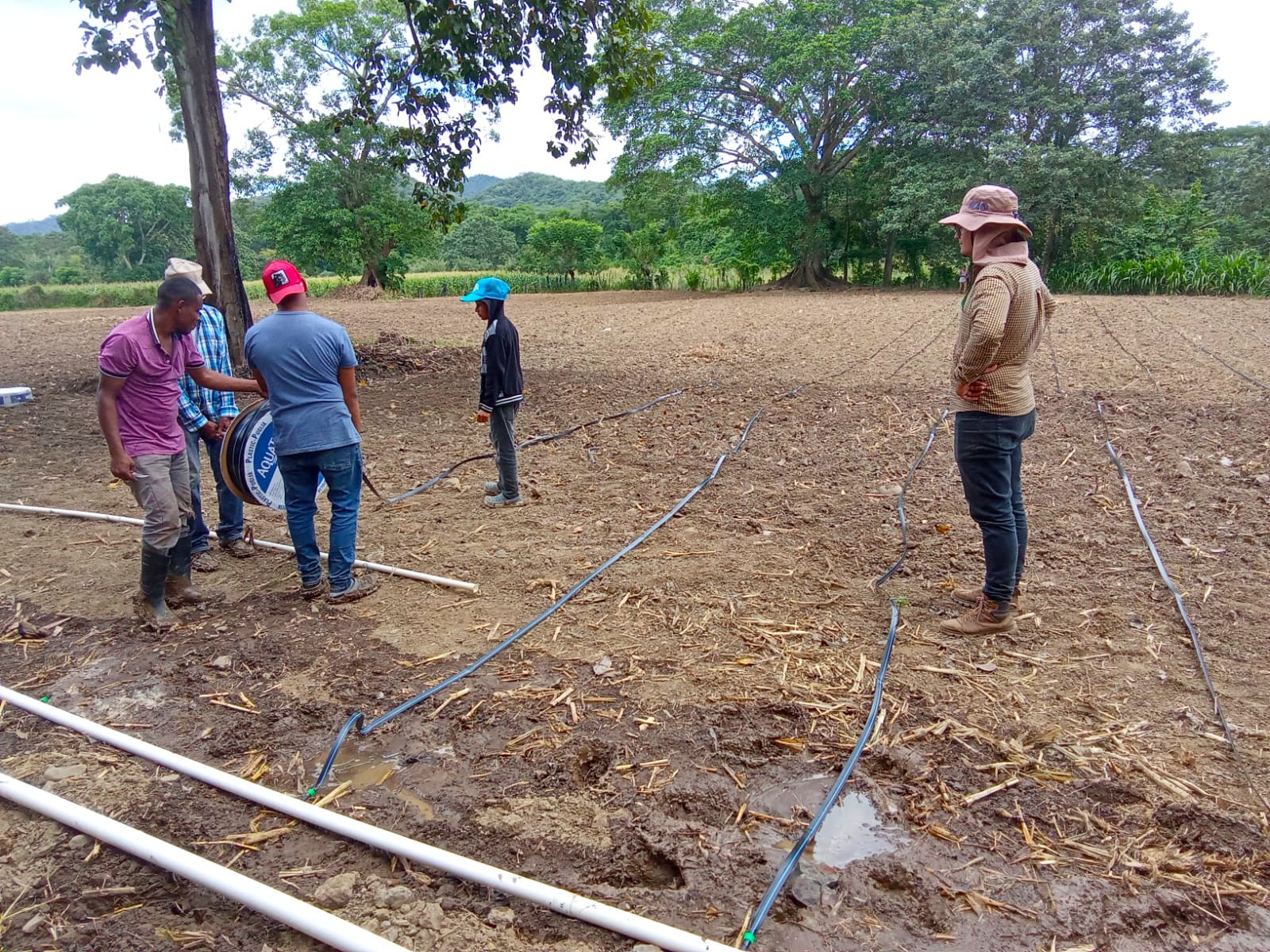 Las obras presentan un avance superior al 50 %