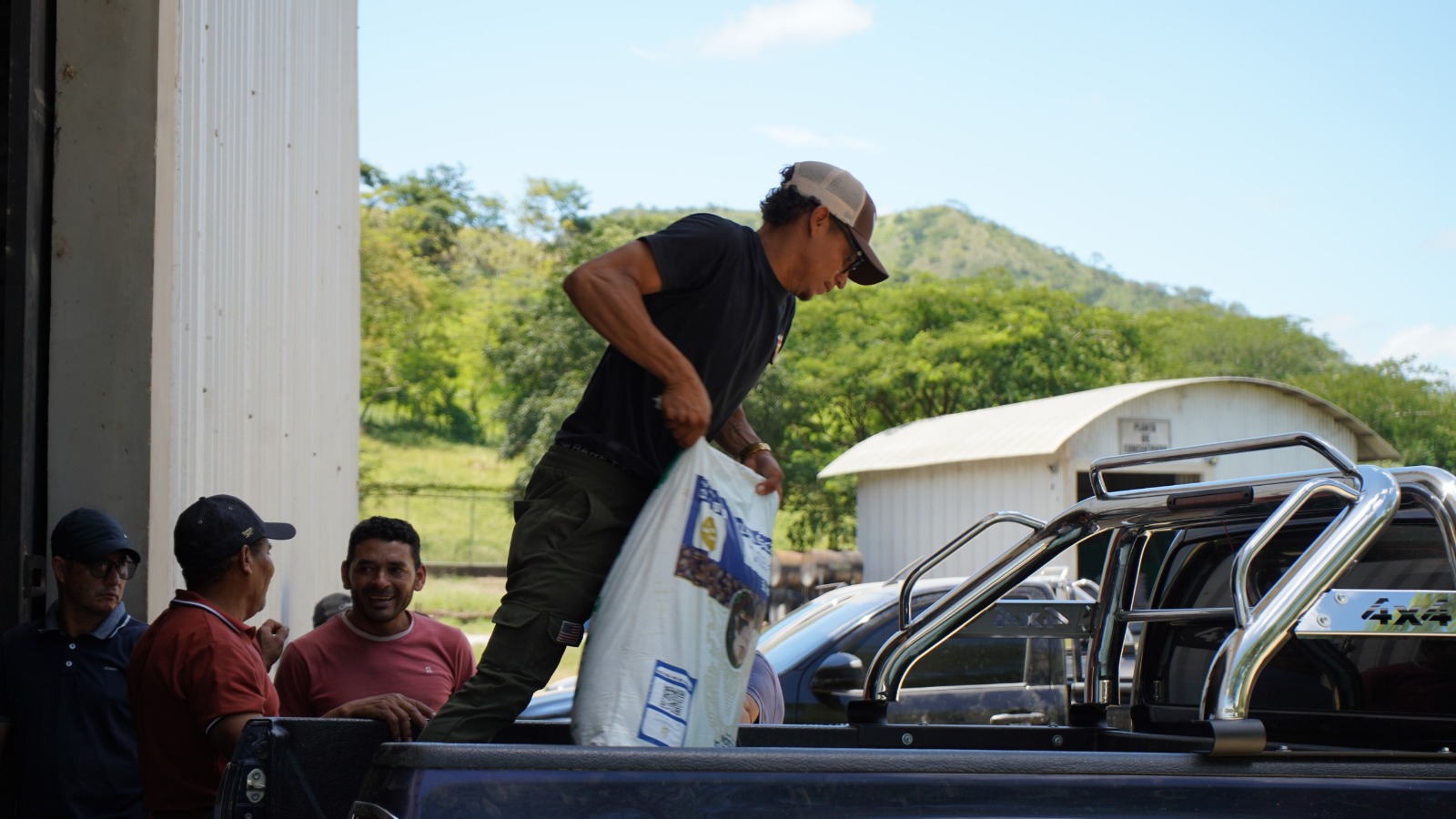 beneficiar a más de 220,000 productores que se dedican al cultivo.
