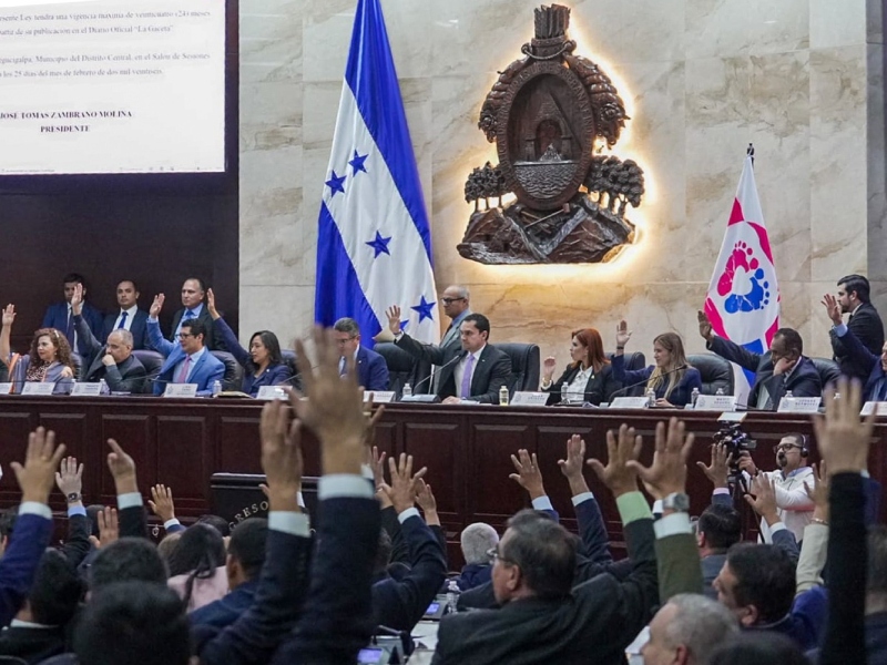el Congreso Nacional espera el pronunciamiento del Poder Judicial