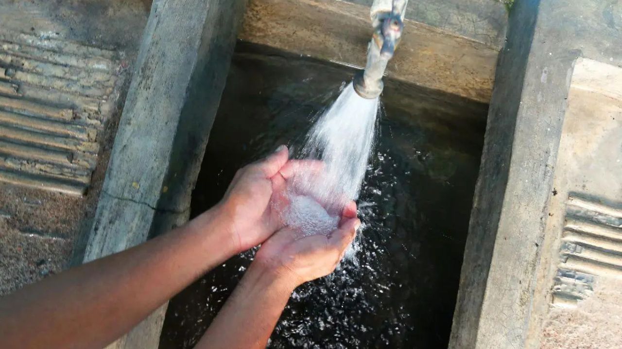 Imagen 2