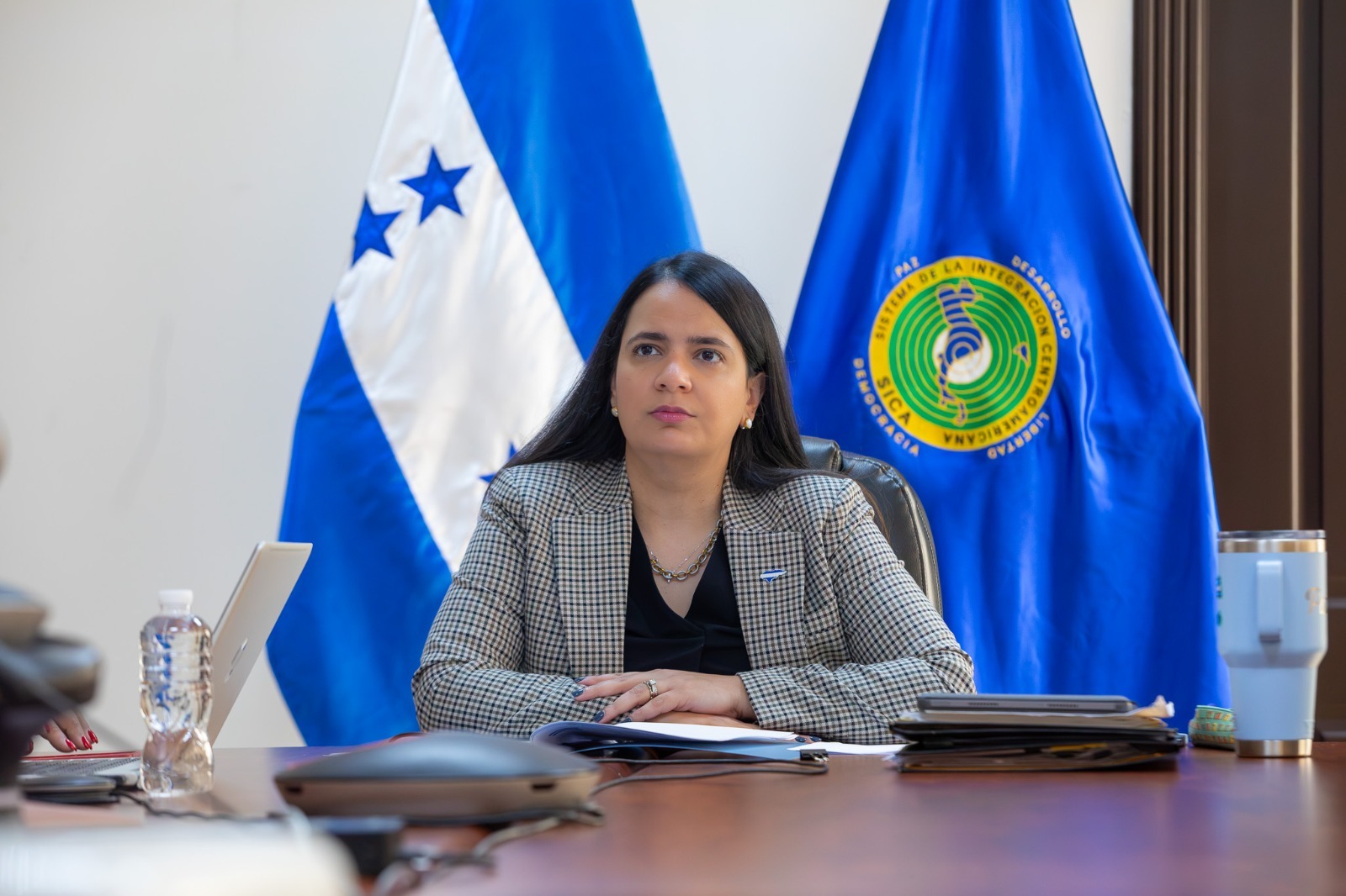 Subsecretaria de Estado en el Despacho de Política Exterior, Embajadora Pamela Handal Rivera