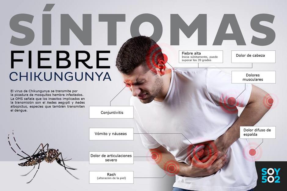 mantener las medidas para evitar las picaduras de mosquitos
