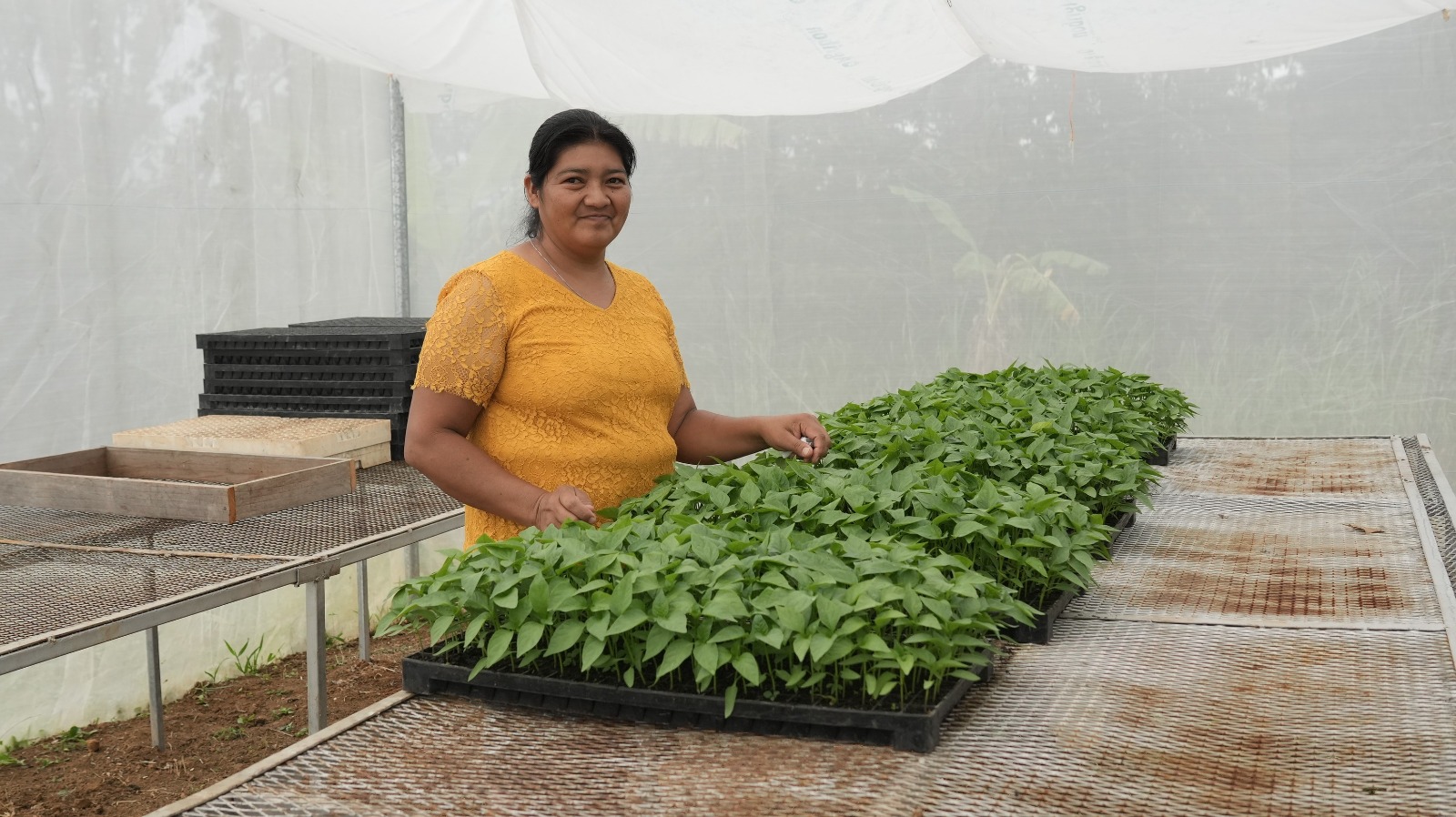 María Concepción Rivera, presidenta de la Organización Cultivando Nuestra Tierra.