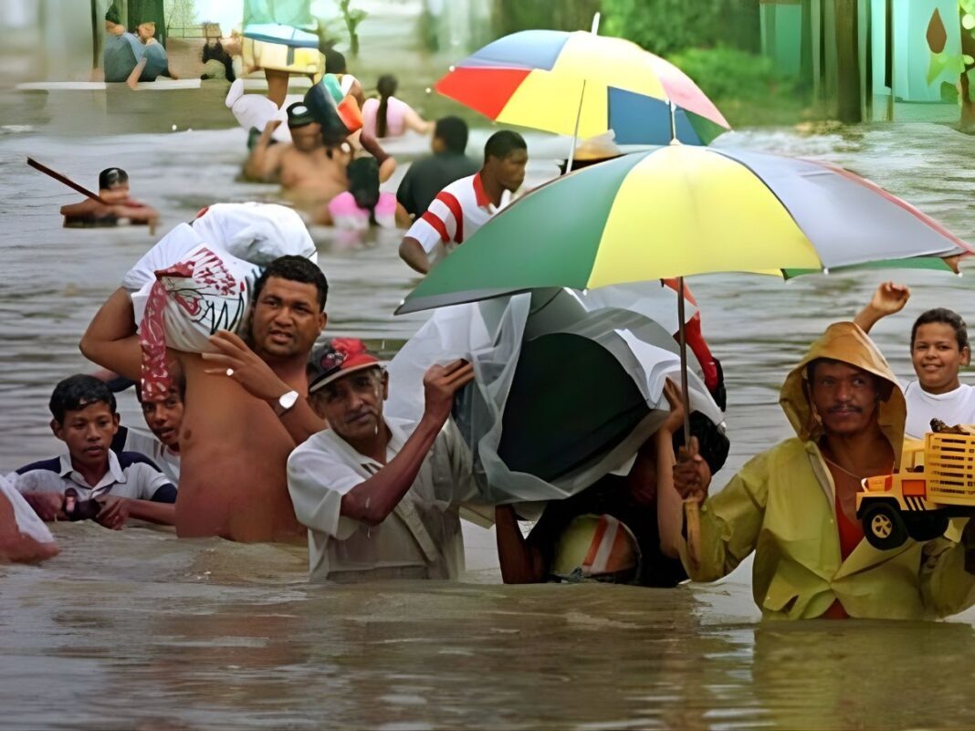 WhatsApp Image 2026-10-26 at 10.39.35 AM.jpeg