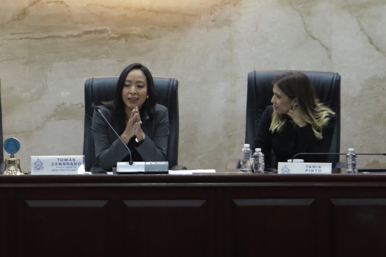 Vicepresidentas del Congreso Nacional Pinto y Cano