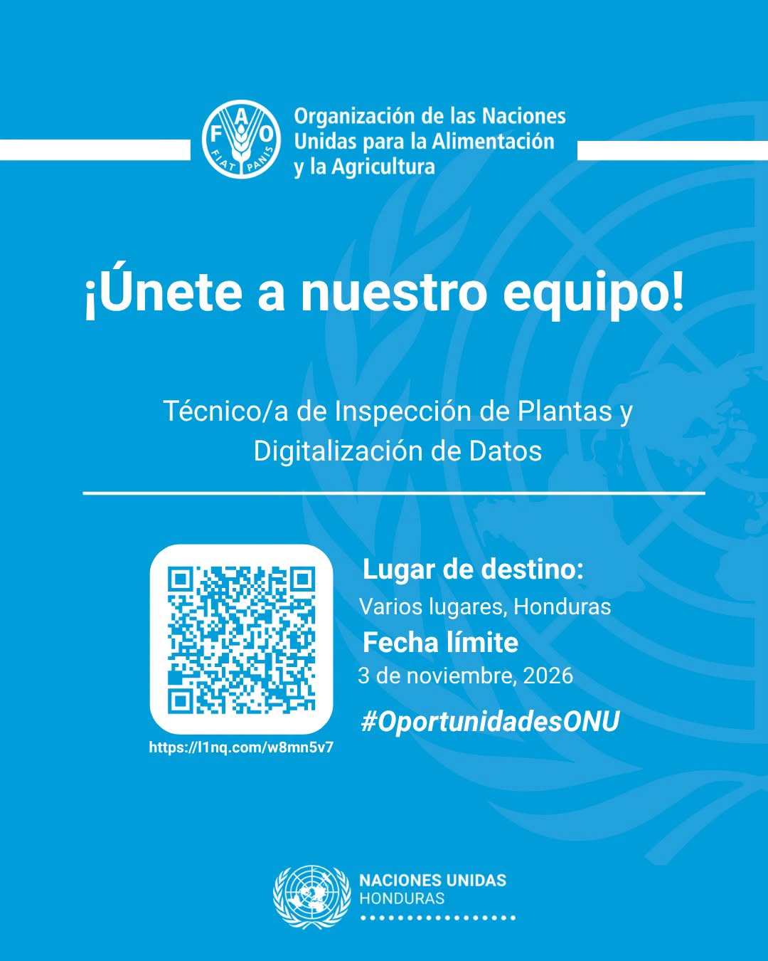 Llamado a la vacante por parte de la ONU.