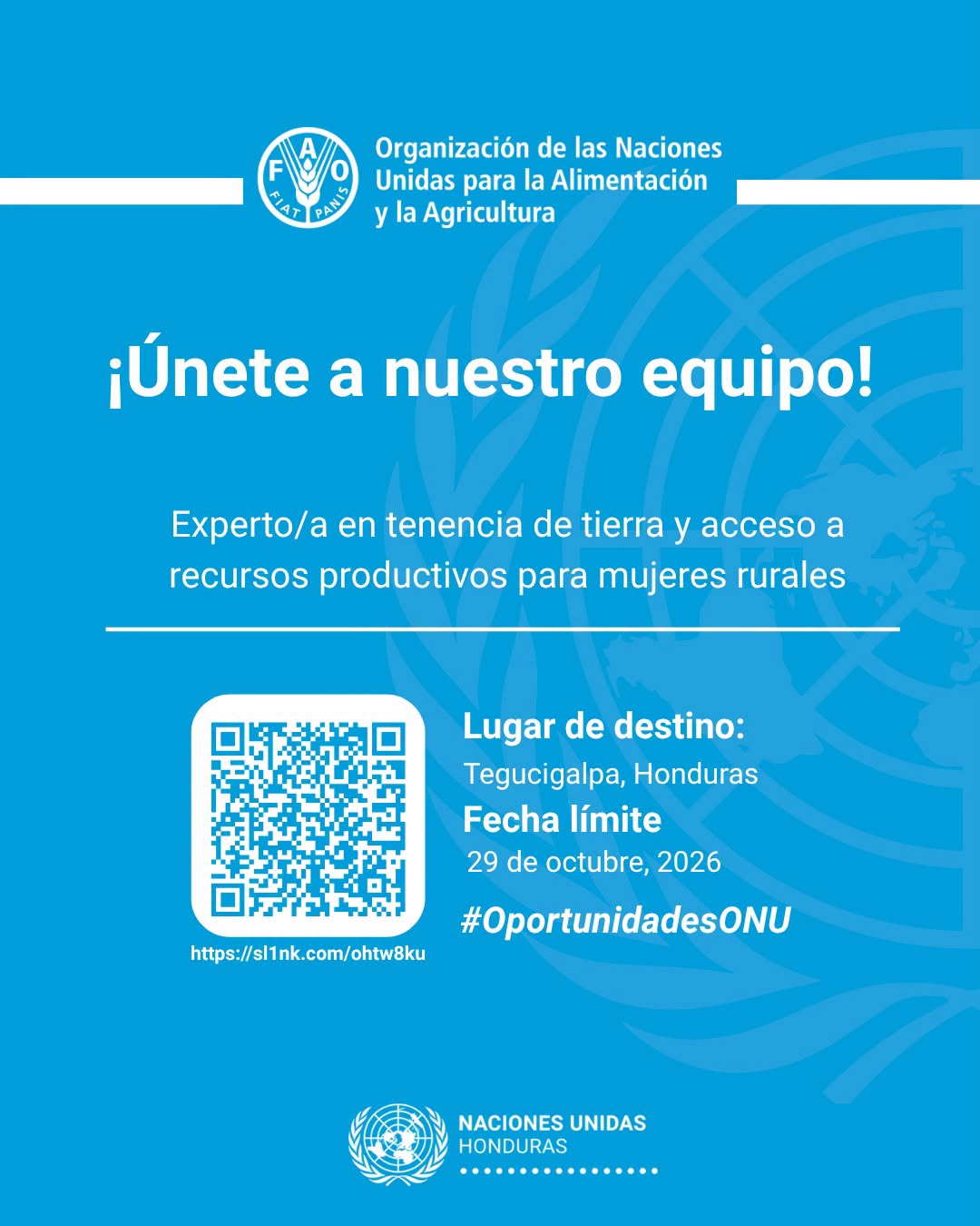 Puesto disponible presentado por la ONU.