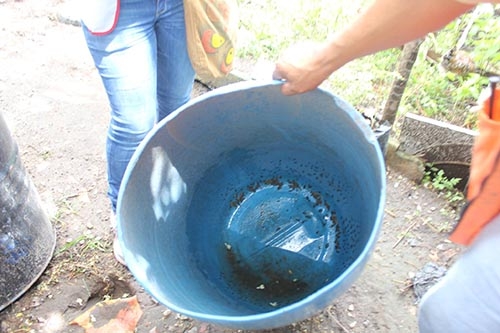 Elimina los criaderos de mosquitos