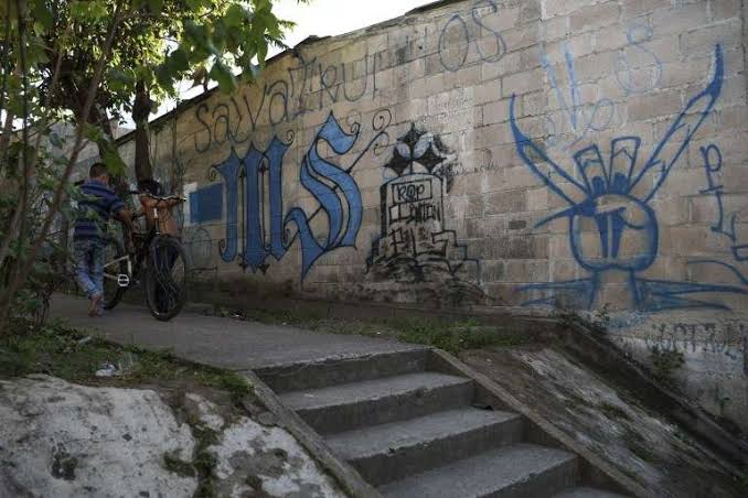 Autoridades pondrán borrara grafitis de maras y pandillas.
