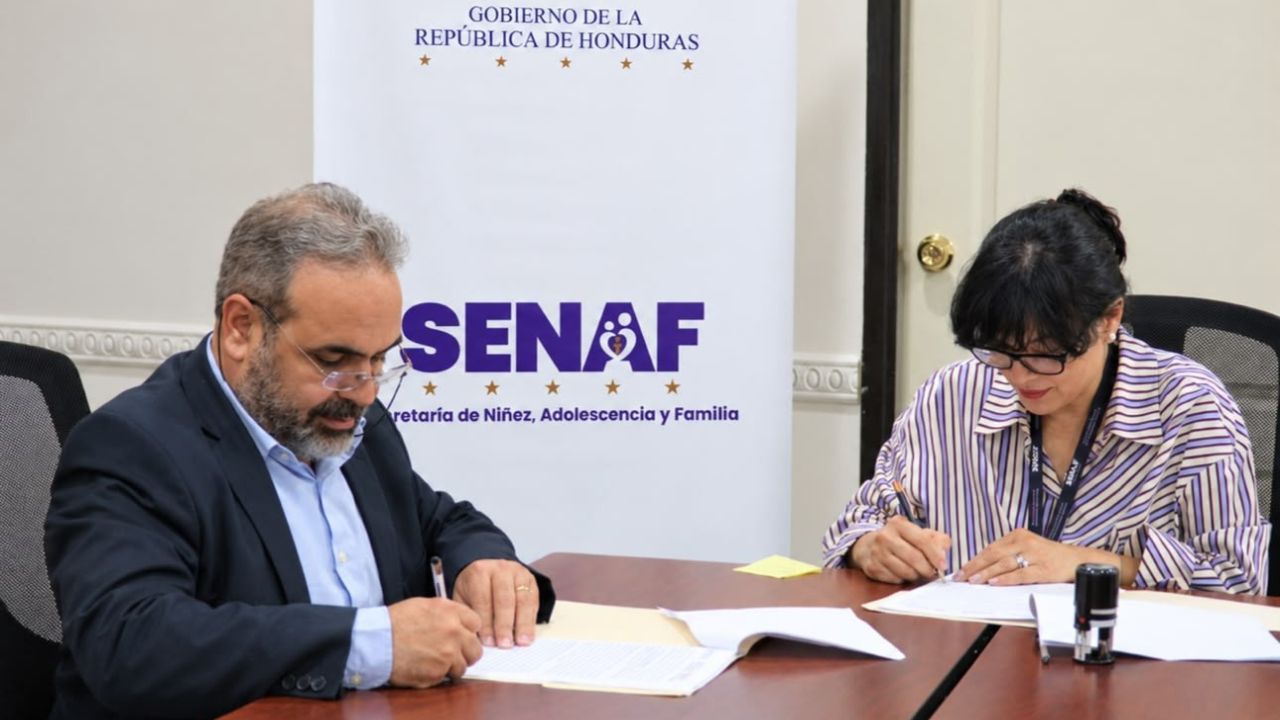 Imagen 2