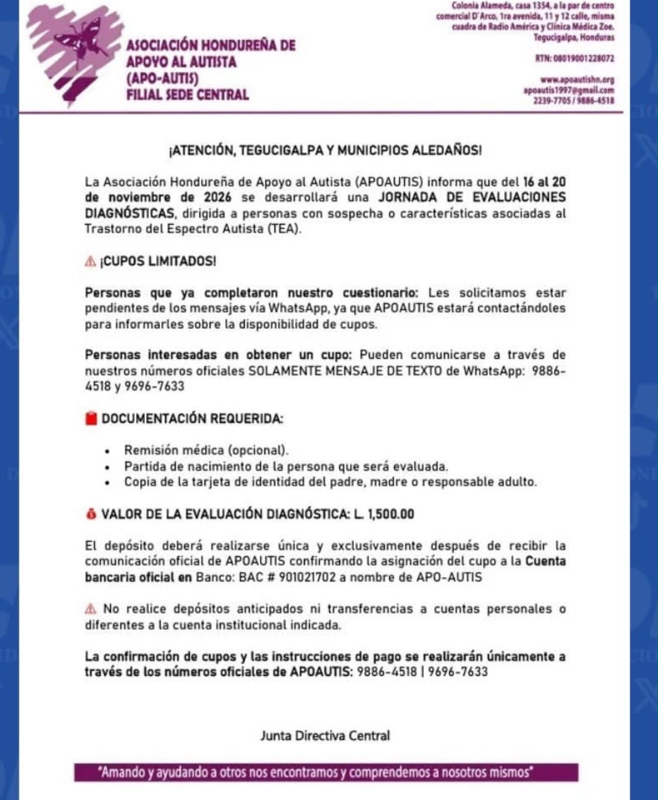 WhatsApp Image 2026-10-30 at 14.31.22 (1).jpeg